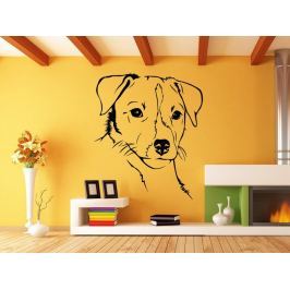 Samolepka na zeď Jack Russell Teriér 001